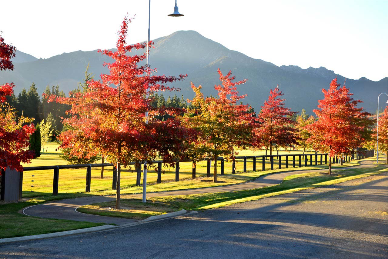 Woodbank Estates - Hamner - Autumn