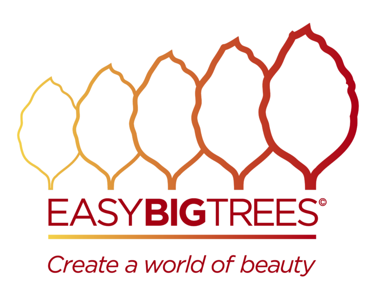 Easy Big Trees Autumn logo, celebrating the beautiful colours of the season