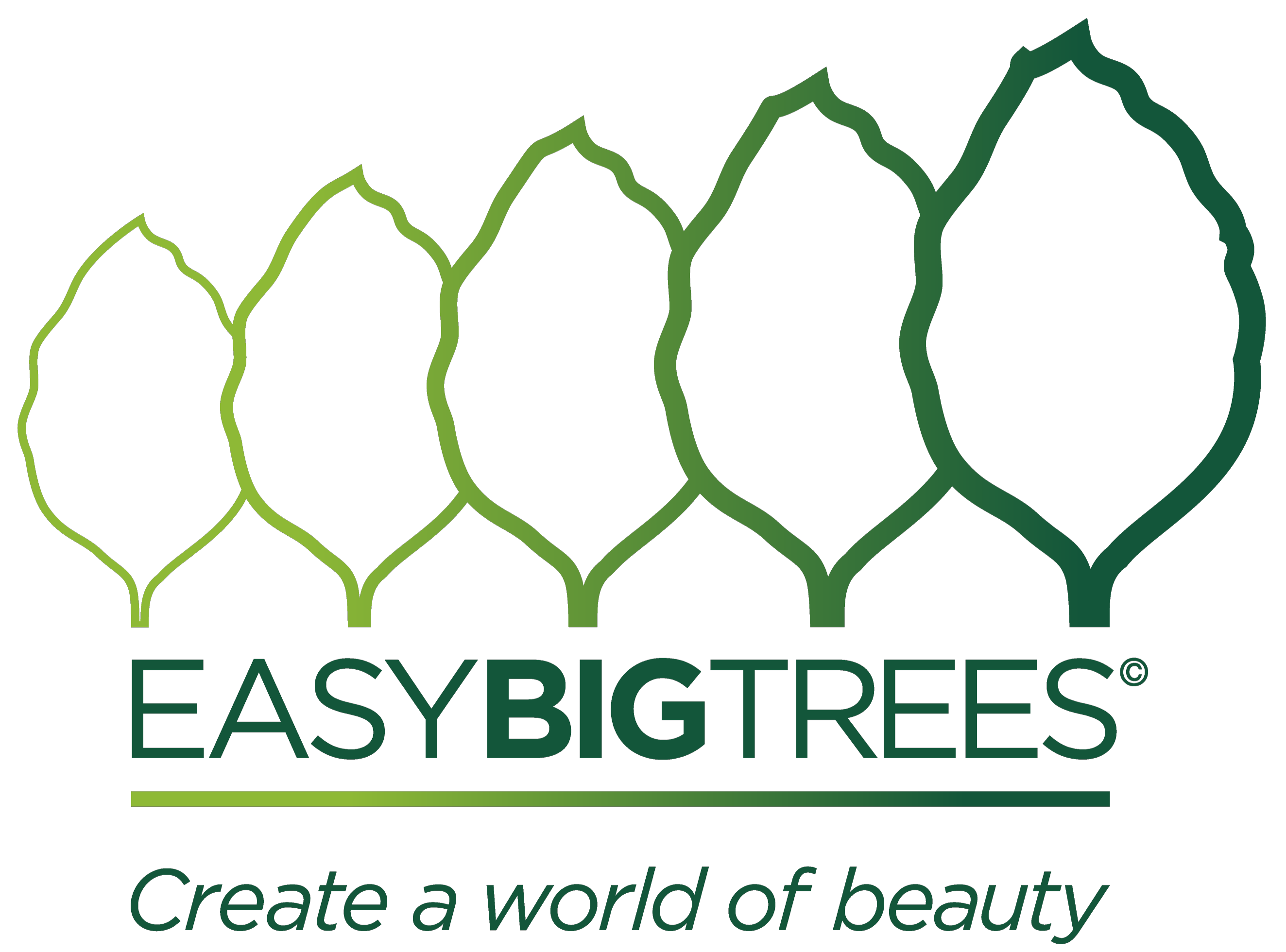 Easy Big Trees Logo