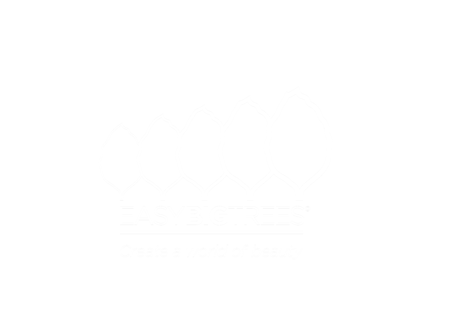 Evergreen Trees and Shrubs | Easy Big Trees New Zealand