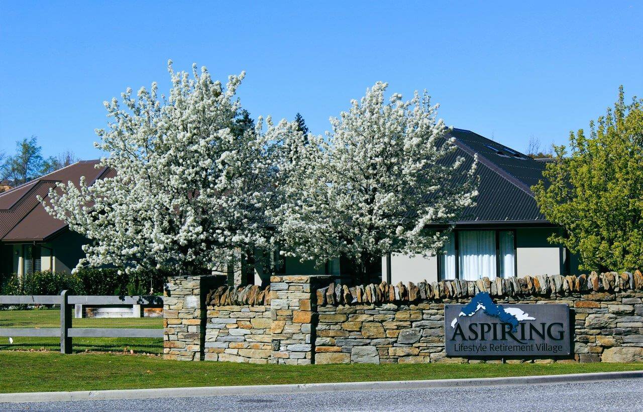 PYRUS Aristocrat Ornamental Pear Easy Big Trees NZ