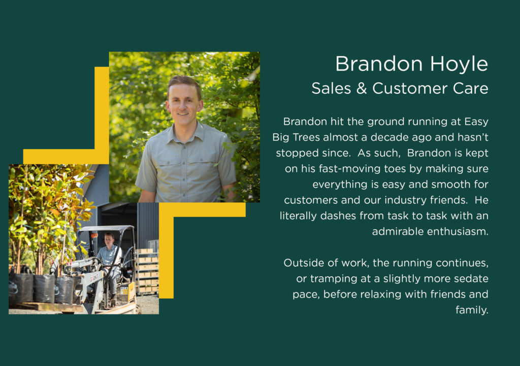 Staff Profile - Brandon