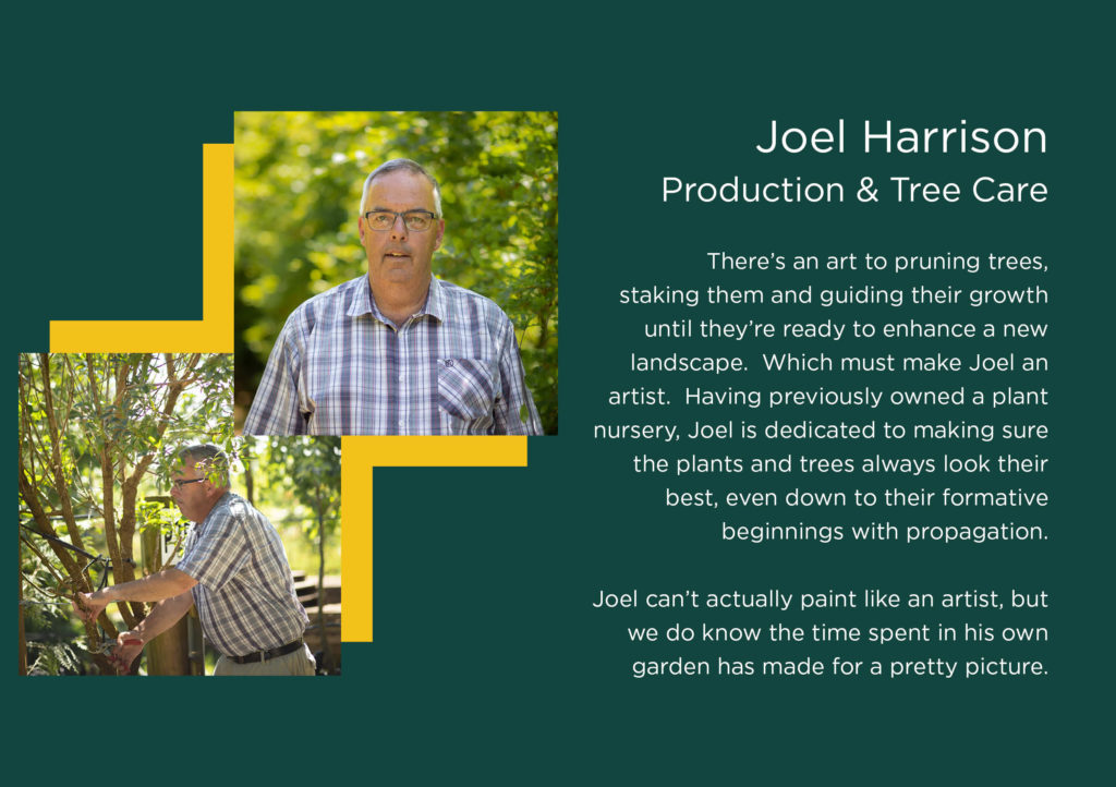 Staff Profile - Joel