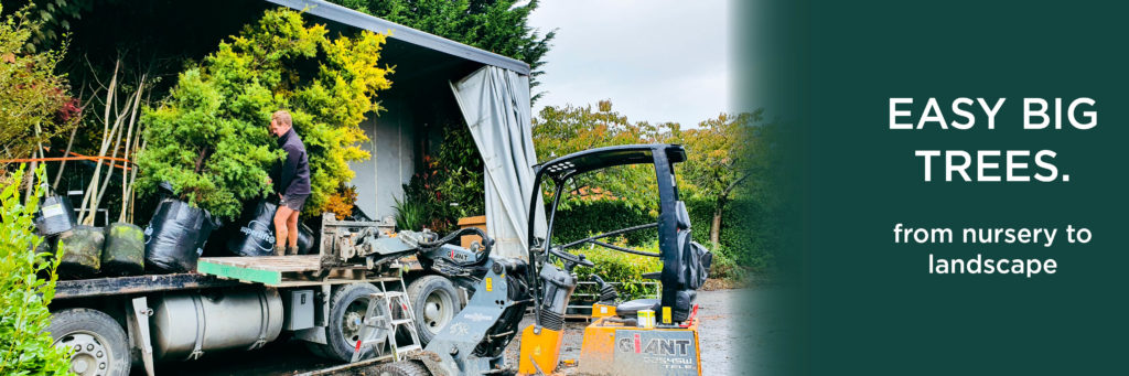 Our trees go anywhere - Easy Big Trees