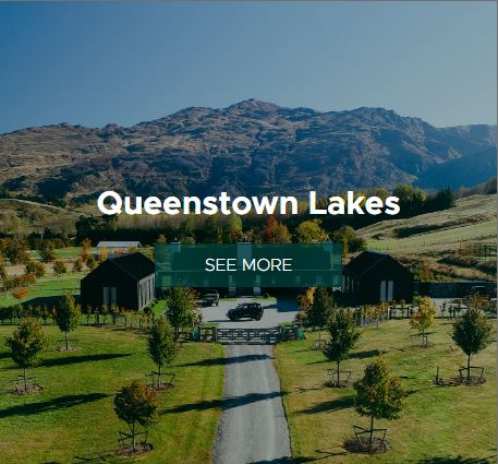 Queenstown lakes button