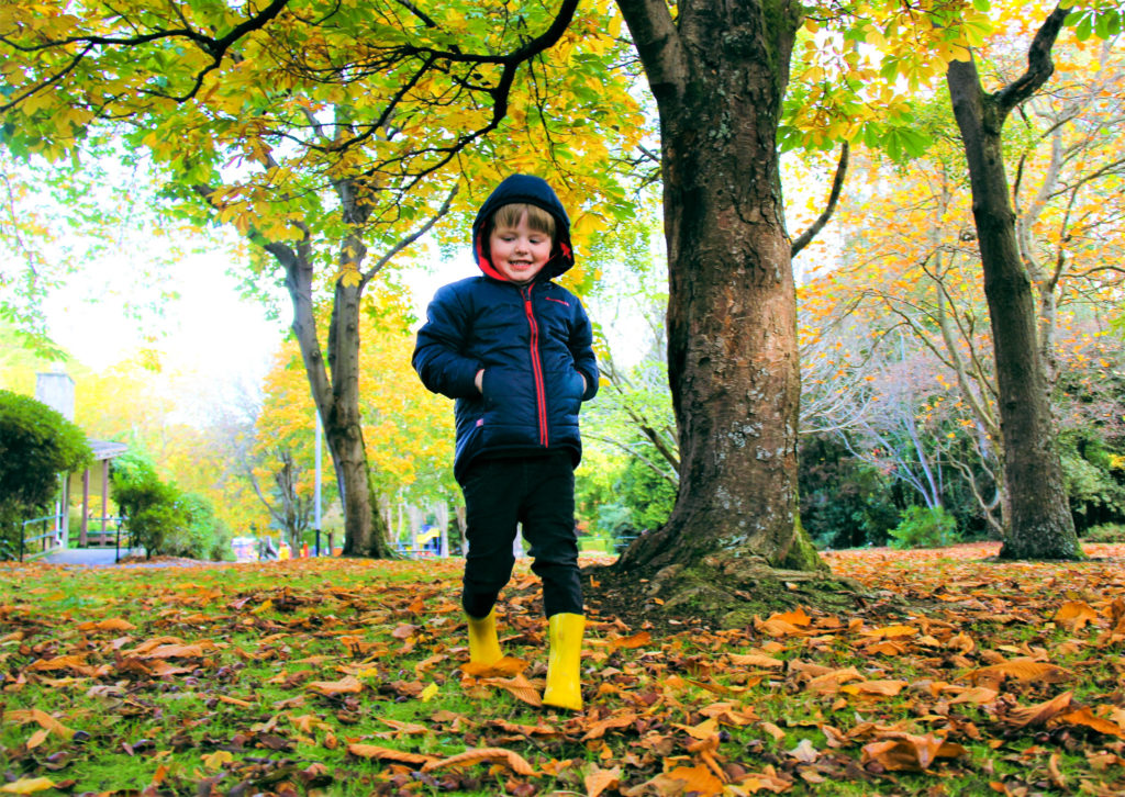 Autumn Leaves - Queens Park - Invercargill - April