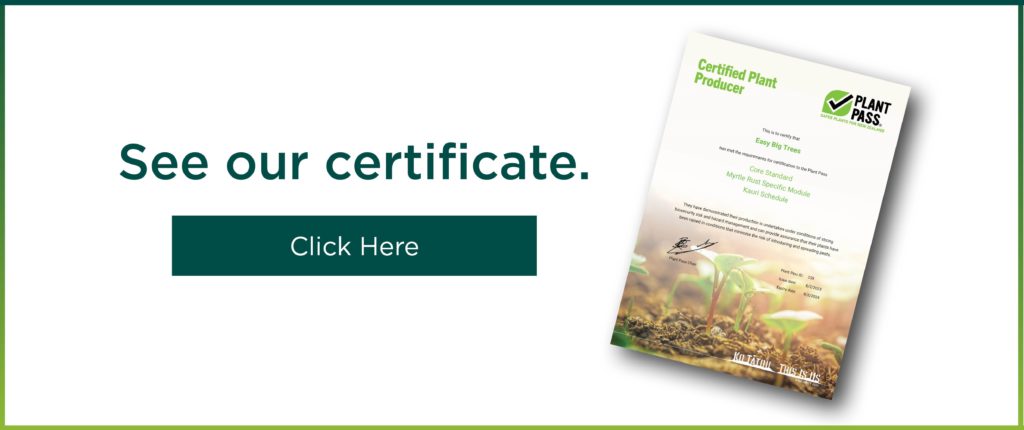 plant pass certificate banner