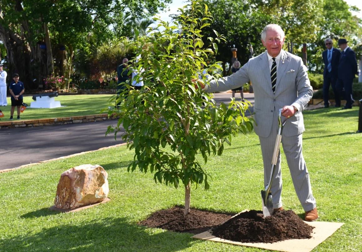 King Charles Tree Planting