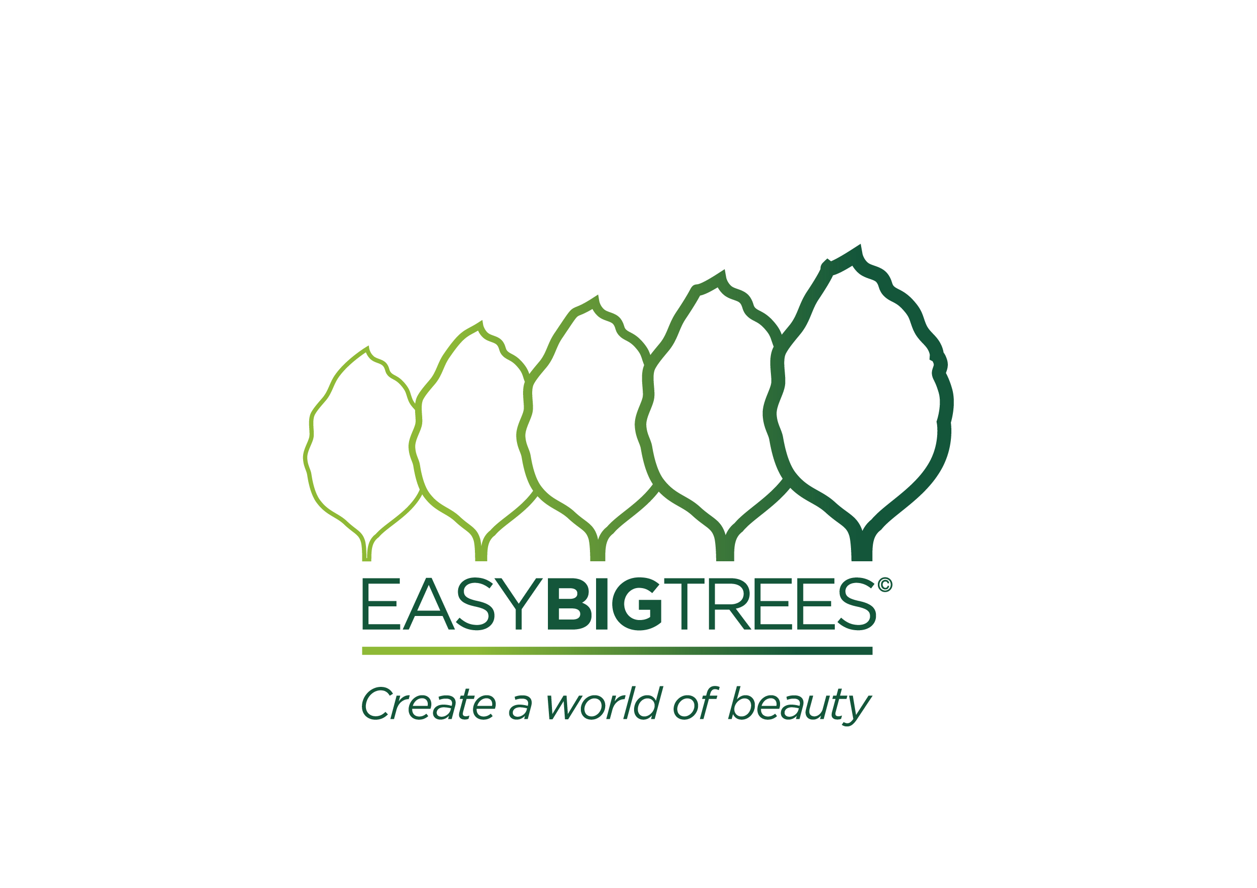 Easy Big Trees, Landscape, Nursery, New Zealand