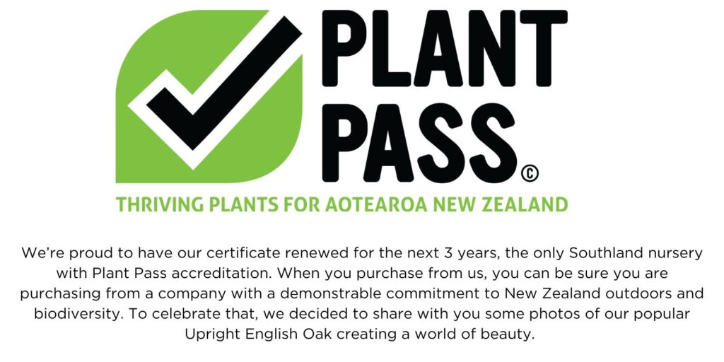 We are the only nursery in Southland with Plant Pass Certifrication