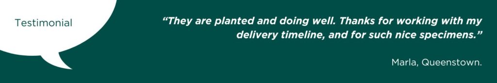 Testimonial from a happy customer: "They are planted and doing well. Thanks for working with my delivery timeline, and for such nice specimens." Marla from Queenstown.