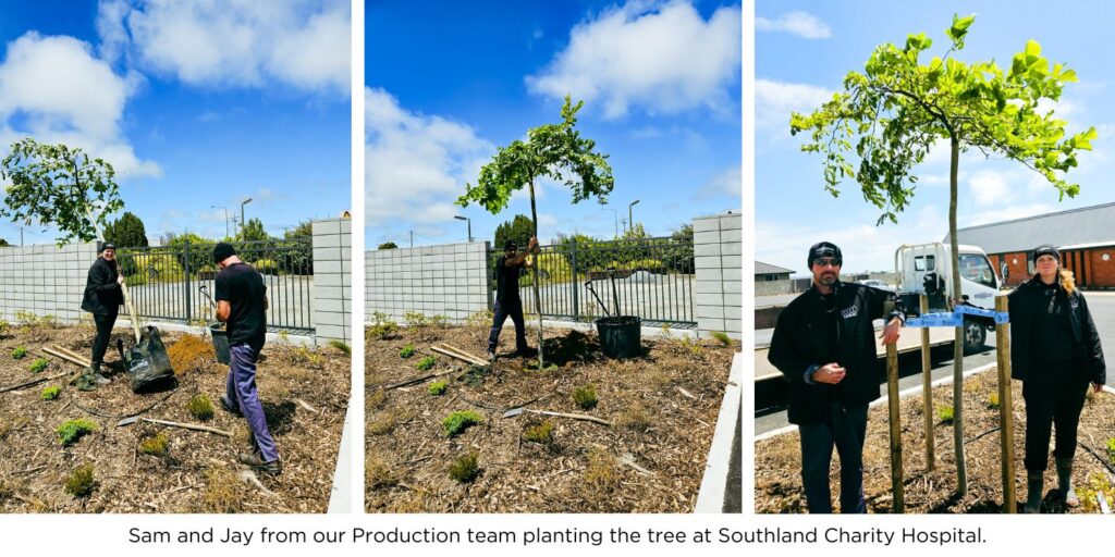 Sam and Jay from our Production team planting the ULMUS pendula 80L at Southland Charity Hospital.