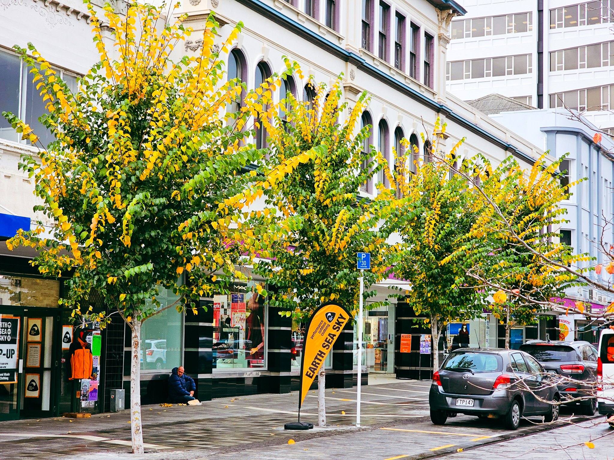 George Street Dunedin