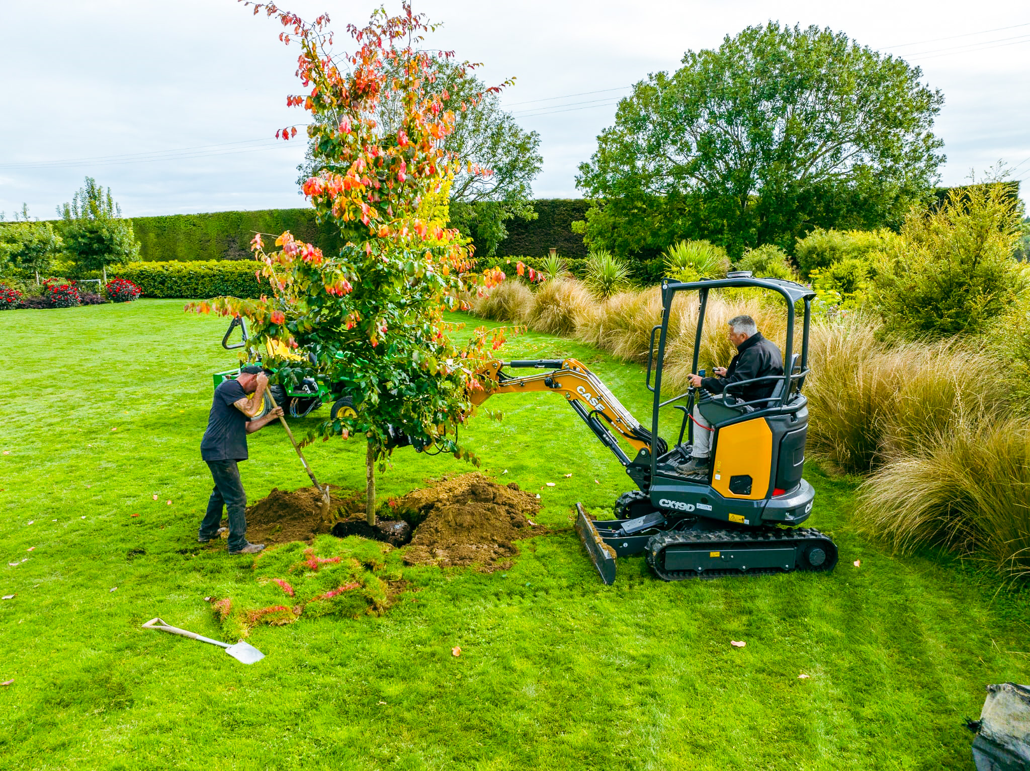 Easy Big Trees planting a large and beautiful green, yellow and orange colours leaves tree.
