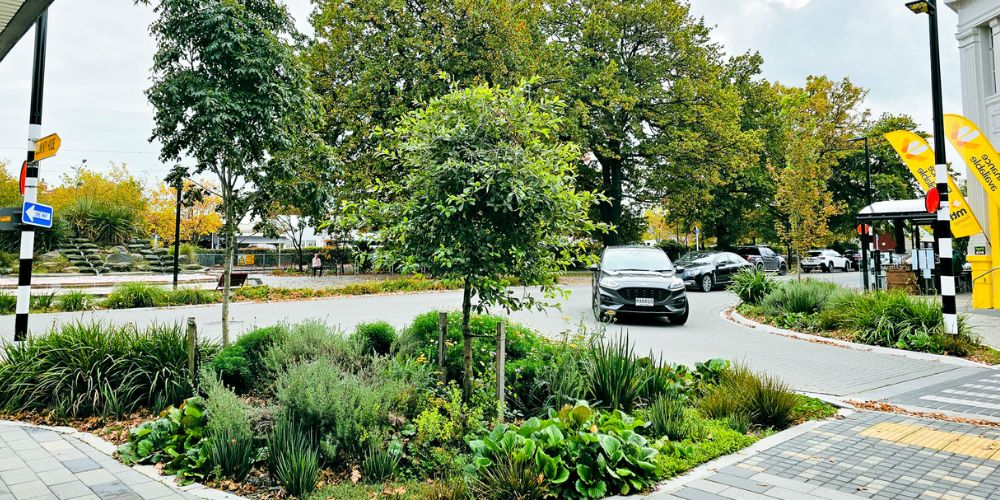 Walkway and parking area surrounded by trees at Ashburton CBD, with trees supplied by Easy Big Trees.