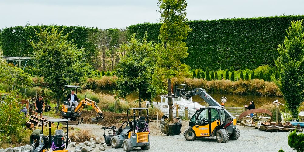 Easy big trees team planting a 20+ years old Agathus-Kauri tree and creating a world of beauty in our nursery.