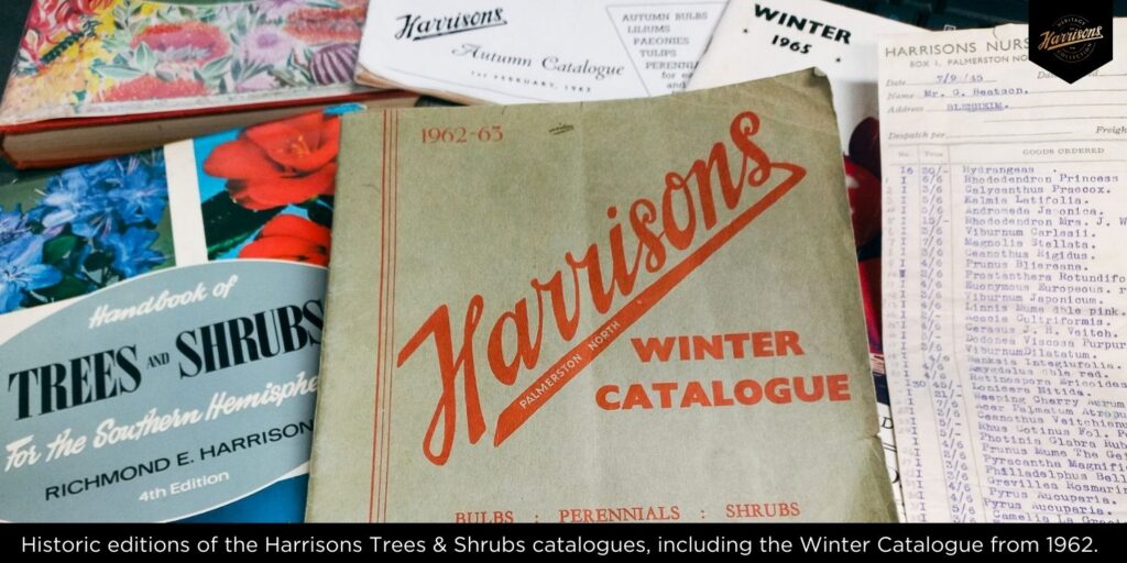 Historic editions of the Harrisons Tree & Shrubs catalogues, including the Winter Catalogue from 1962.