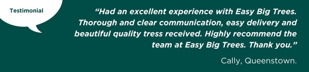 Testimonial banner from Cally, Easy Big Trees new client from Queenstown.