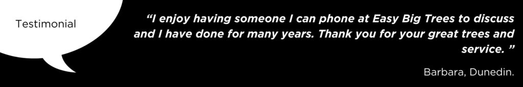 I enjoy having someone I can phone at Easy Big Trees to discuss and I have done for many years. Thank you for your great trees and service. Testimonial from Barbara, Easy Big Trees client from Dunedin.