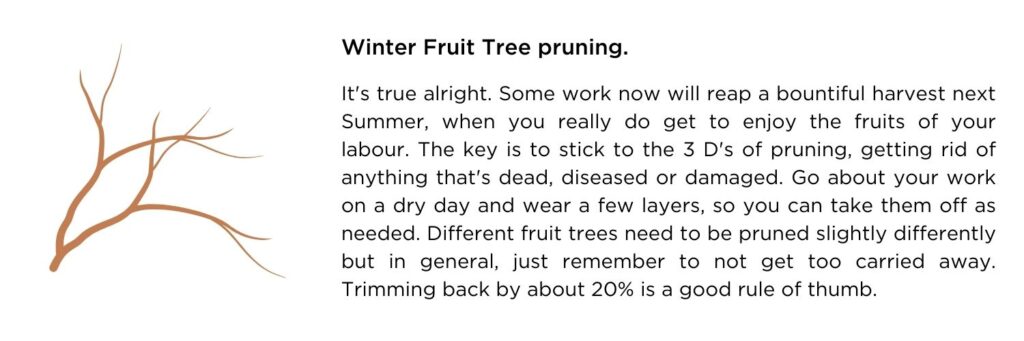 Harry Winter Fruit Tree Pruning Tips: It's true alright. Some work now will reap a bountiful harvest next Summer, when you really do get to enjoy the fruits of your labour. The key is to stick to the 3 D's of pruning, getting rid of anything that's dead, diseased or damaged. Go about your work on a dry day and wear a few layers, so you can take them off as needed. Different fruit trees need to be pruned slightly differently but in general, just remember to not get too carried away. Trimming back by about 20% is a good rule of thumb.