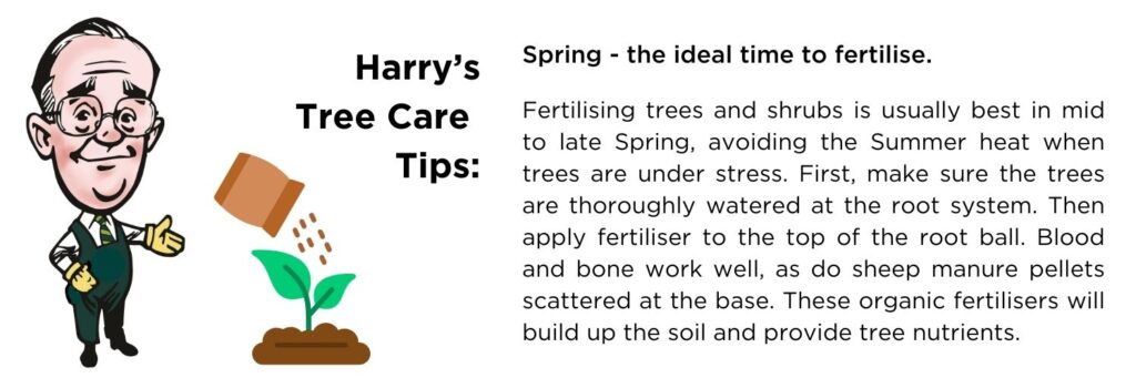 Harry's Tree Care Tips: Spring is the ideal time to fertilise.