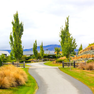CHIONOCHLOA rubra – NZ Native Red Tussock