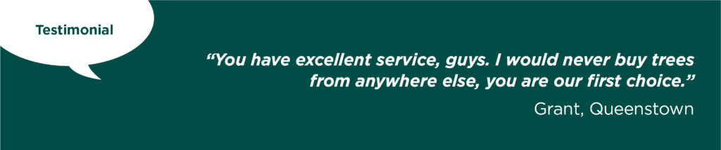 Testimonial from Grant, Queenstown. One more Easy Big Trees happy customer.