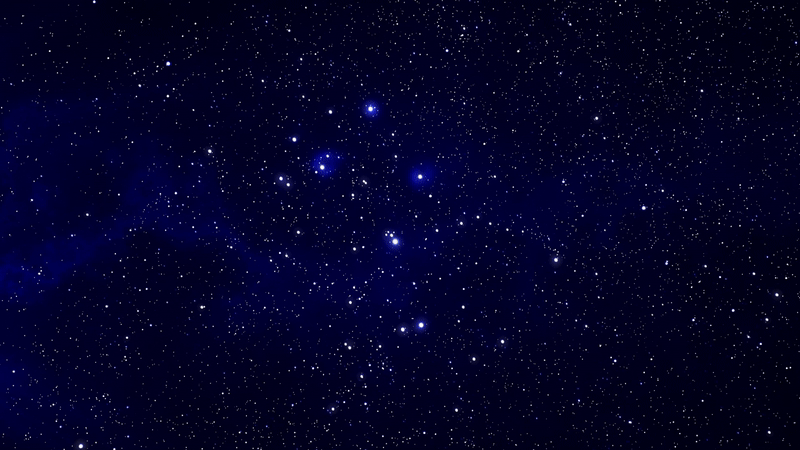 Matariki’s Green Legacy: Trees, Renewal and Tradition