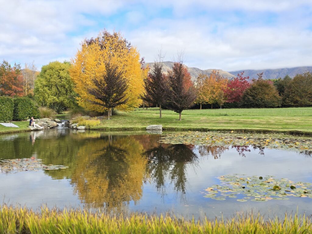 Birchwood Manor, Serene pond reflecting the Fagus sylvatica ‘Purpurea’ Purple Copper Beech with stunning Autumn colours