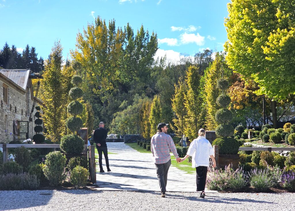 Ayrburn - Buxus topiary & Carpinus fastigiata - April 2024