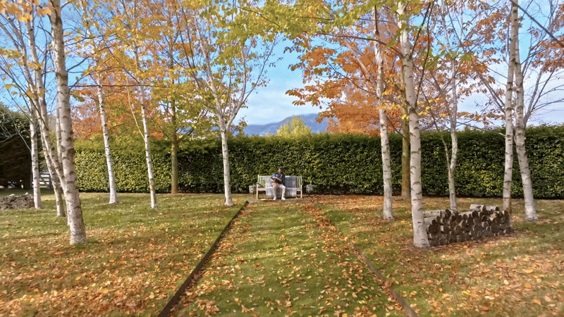Read more about the article Beautiful Birchwood