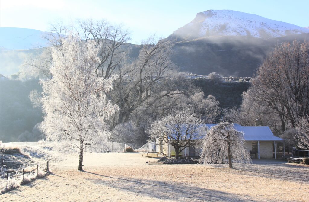 Queenstown -White Frost - June 2020 (5)