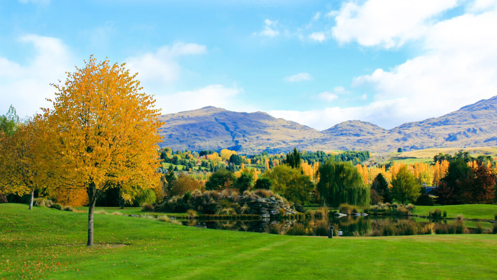 Tilia - Hutton - (1) April 2018