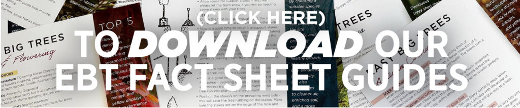 Tree Guides banner