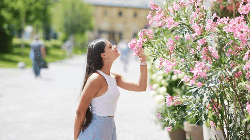 Read more about the article Best Places to See Urban Blossoms