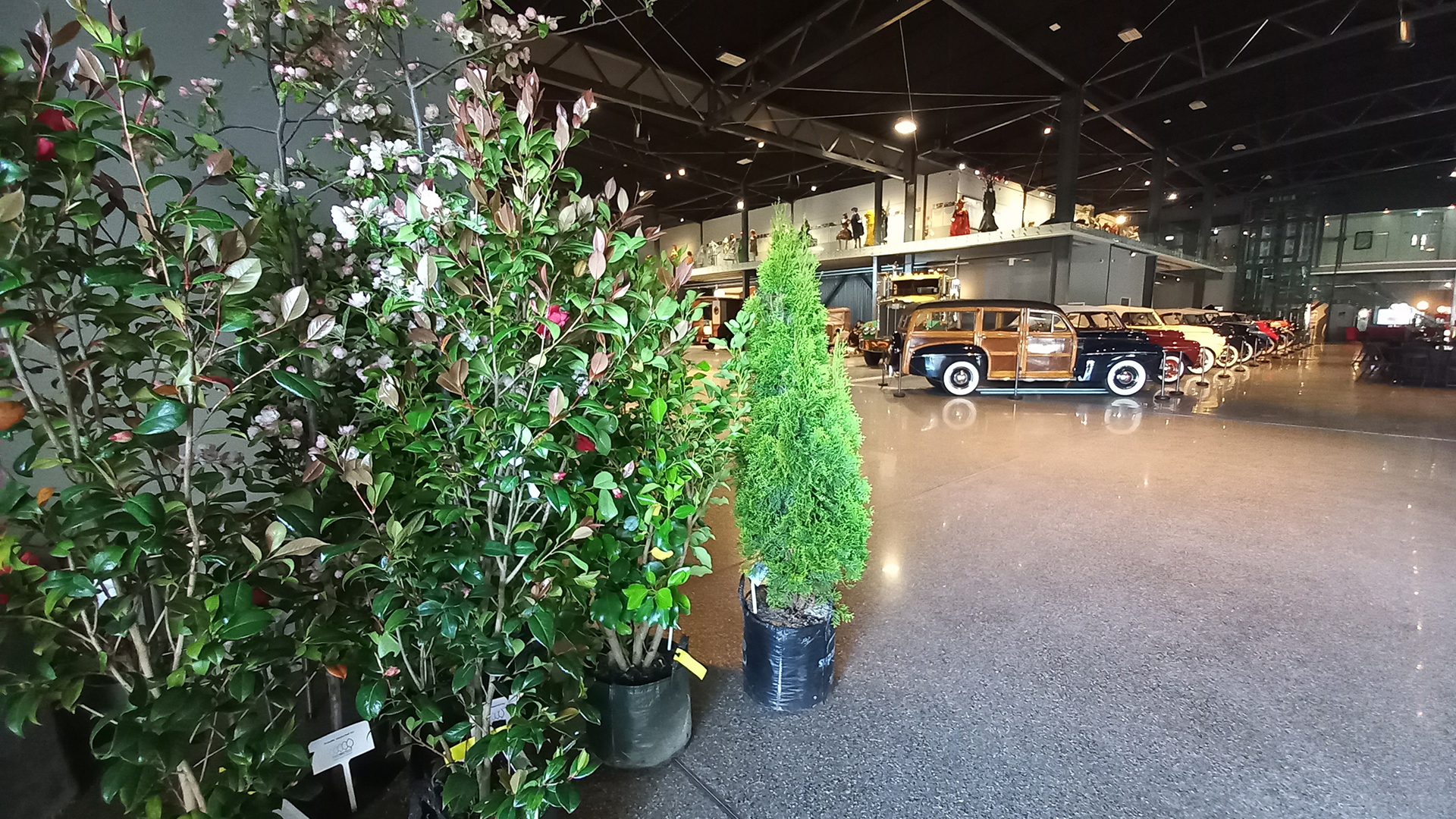 NZ Arb Annual Conference 2023