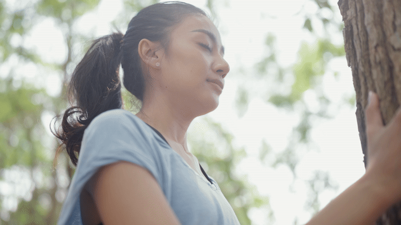 Read more about the article Top 5: Sensory Trees for all to enjoy