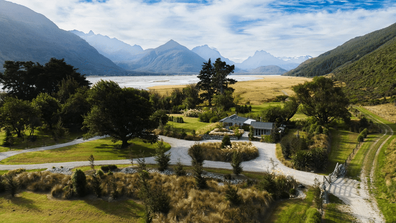 Redwoods at Dart Valley Station