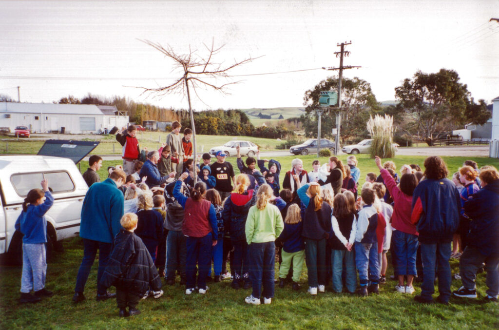 Tokanui School, Ulmus horizontalis
