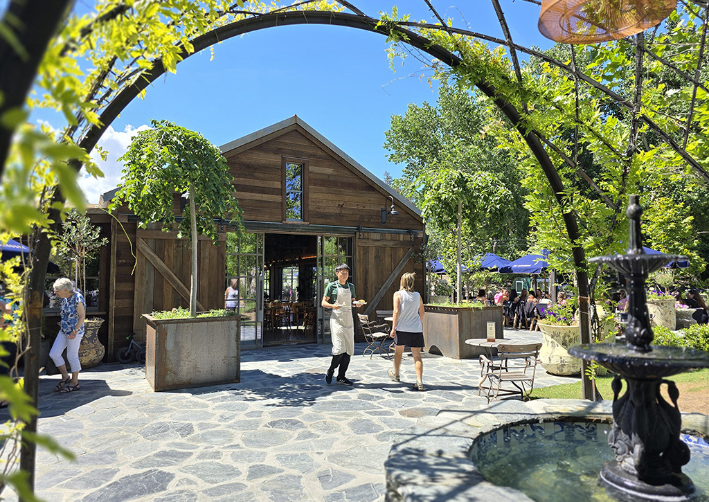 Ulmus pendula Heritage Collection Ayrburn - Jan 2025