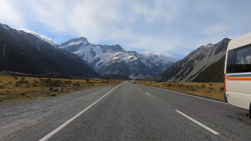 Heritage Ulmus on the Move - Quality and Care