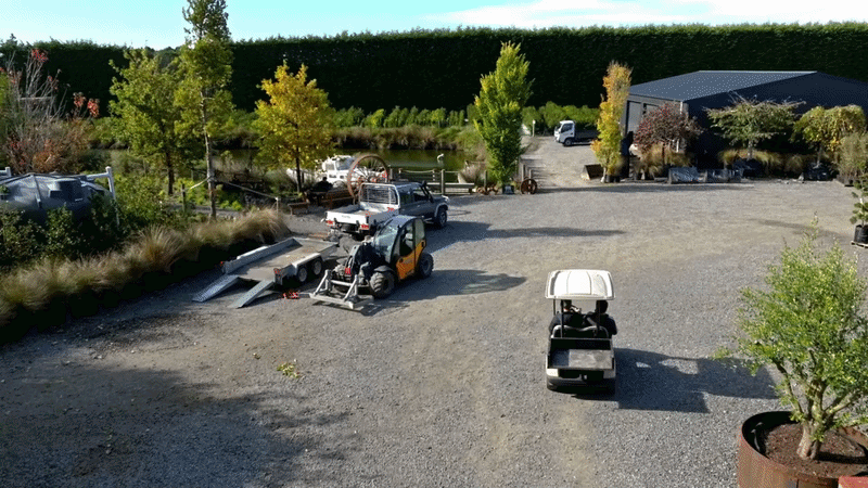 Team Spotlight - Meet the Easy Big Trees Team