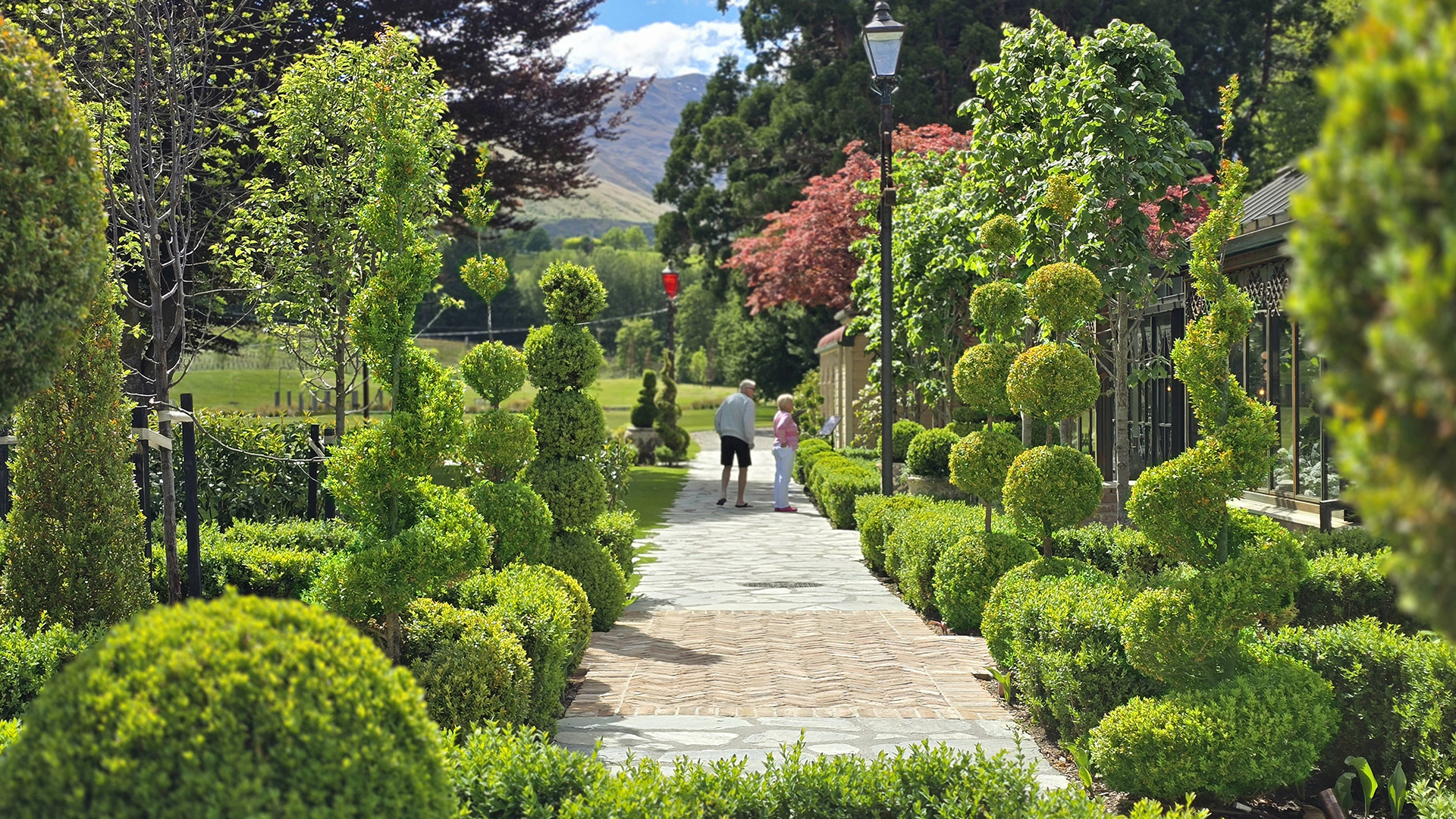 Buxus topiary - Billys - Ayrburn - Inspiration Gallery