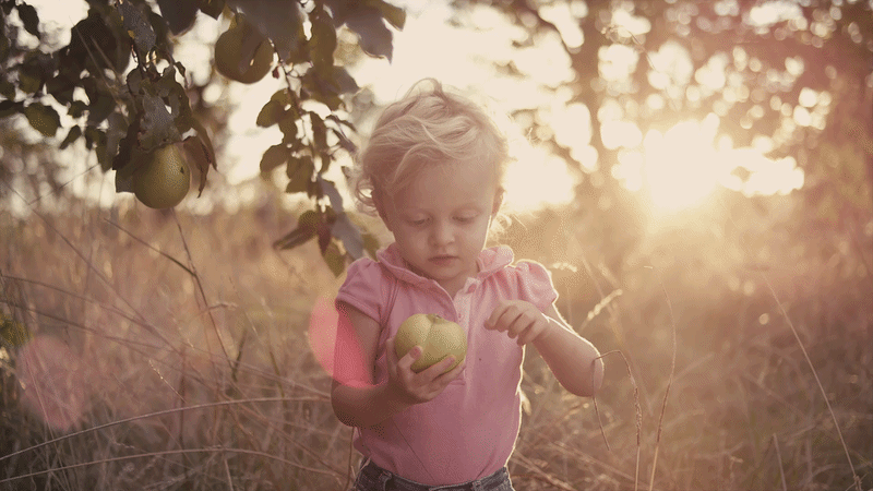 Food for Thought Growing Your Own Goodness